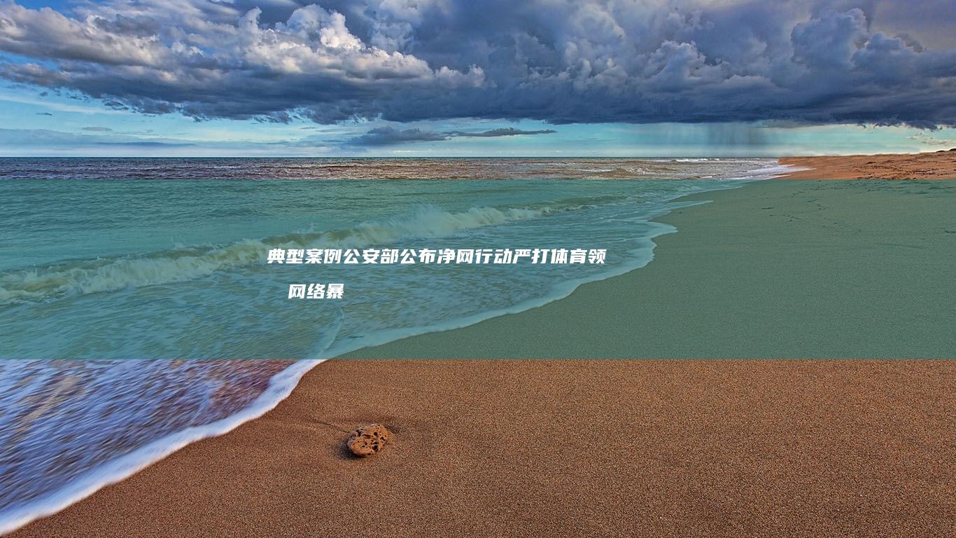 典型案例-公安部公布-净网行动-严打体育领域网络暴力 (典型案例-公)